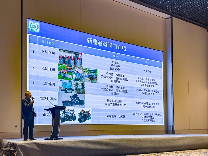 1763439843551435.jpg 601.jpg