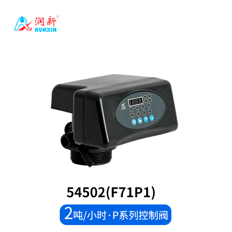 P係列過濾閥54502(F71P1)