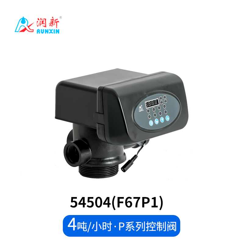 P係列（liè）過濾閥54504(F67P1)