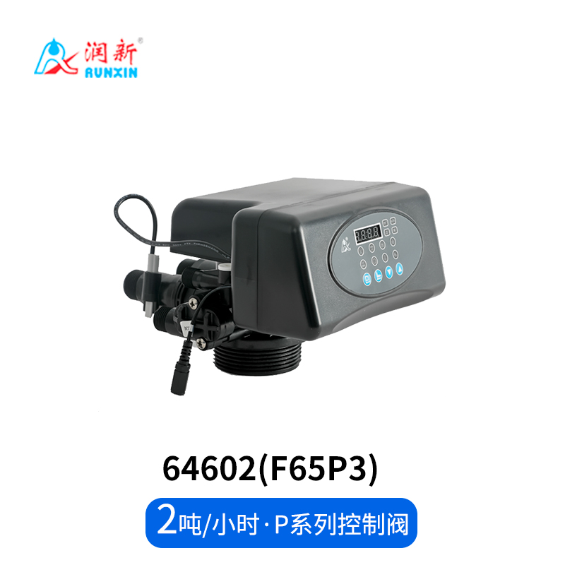 P係列（liè）軟化閥64502(F65P1)  64602(F65P3)