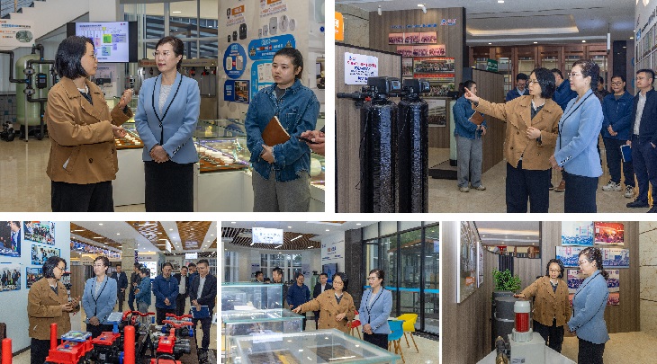 1763440519616069.jpg 201.jpg